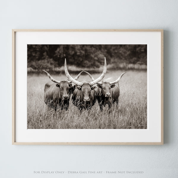 WATUSI LONGHORN ART - WESTERN DECOR