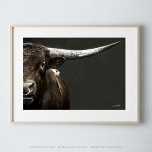 Close-Up Texas Longhorn Bull - Original Photography Print by Debra Gail - Rustic Western Wall Art - Fine Art Print - Nature and Wildlife Photography - High Quality Home Decor - Longhorn Cattle Image