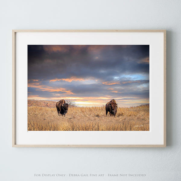 UNTAMED FREEDOM - AMERICAN BISON IN THE SUNSET