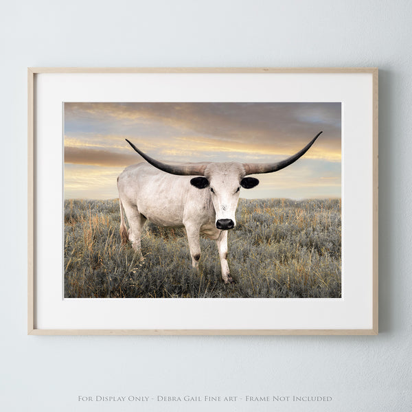 Western Landscape with Longhorn and Calf - Original Photography Print by Debra Gail - Texas Longhorn Cattle in Field - Rustic Home Decor - Fine Art Print - Nature Photography - High Quality Wall Art