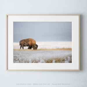 Buffalo Artwork for Western Living Room Decor | Western Luxury Bison Canvas