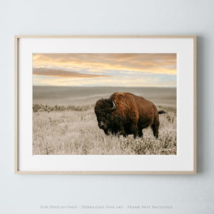 Buffalo wall art – Great Plains wildlife wall decor by Debra Gail Fine Art