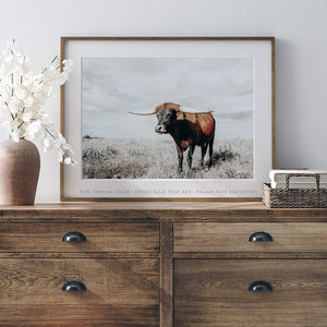Longhorn cow wall decor canvas – rustic Western fine art print by Debra Gail Fine Art