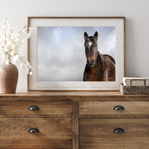 Horse wall art canvas print – rustic Western decor Debra Gail Fine Art