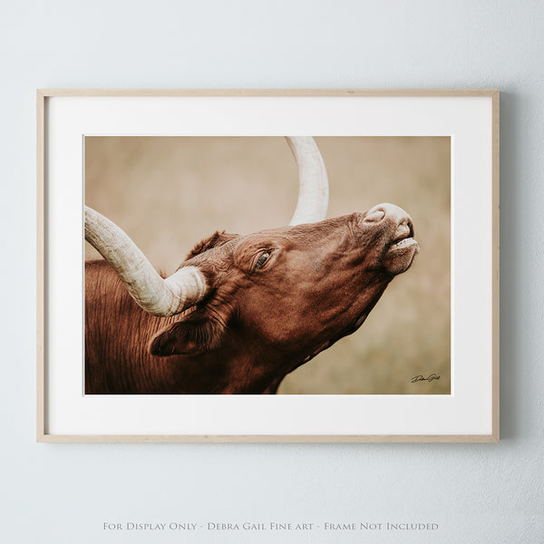 TEXAS LONGHORN CLOSEUP PICTURE - CANVAS FARMHOUSE DECOR