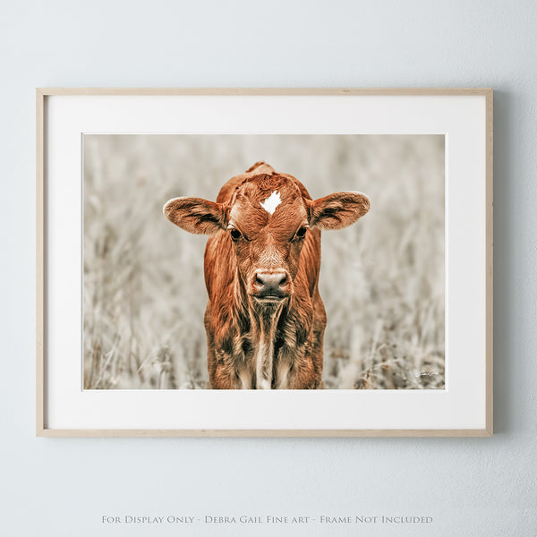 CUTE COW CANVAS PICTURE - NURSERY, KIDS, FARMHOUSE DECOR