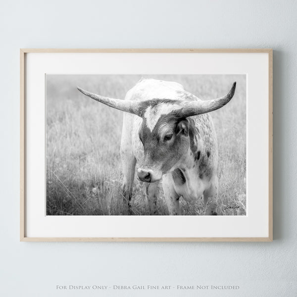 CUTE LONGHORN CALF PICTURE - FARMHOUSE COW NURSERY DECOR