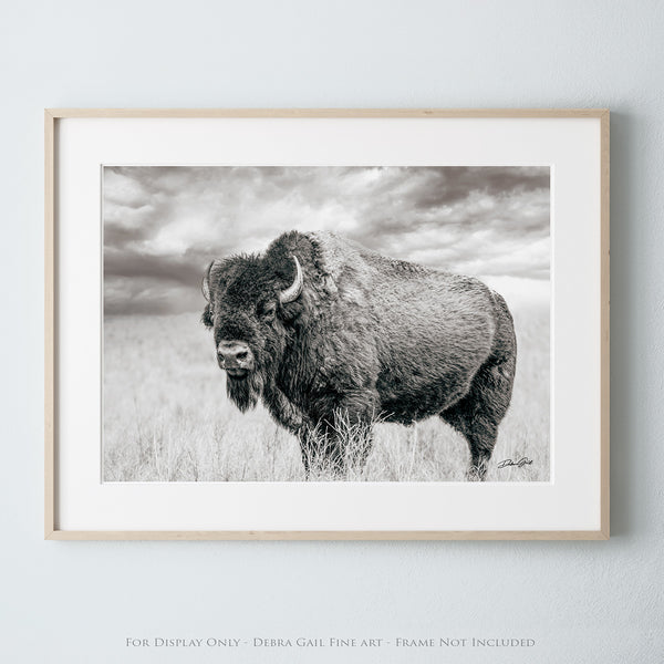 BISON BULL STANDING - RUSTIC DECOR BY DEBRA GAIL