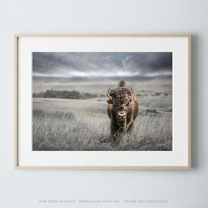 Western gothic bison art print