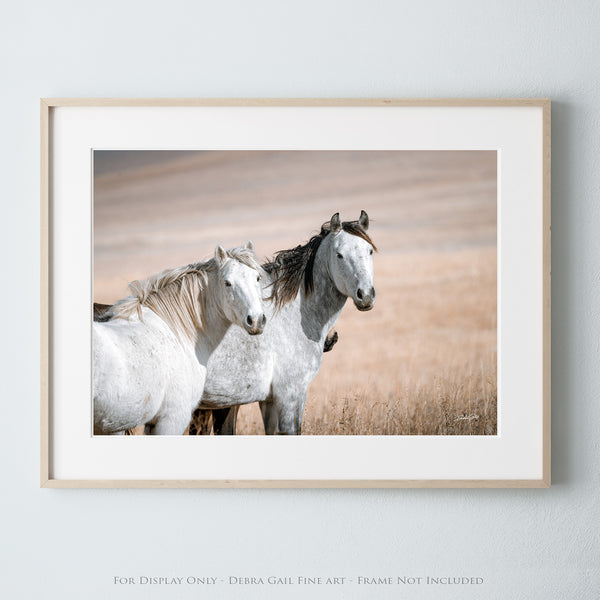 MUSTANG HORSE PRINT - PERFECT FOR HORSE LOVERS