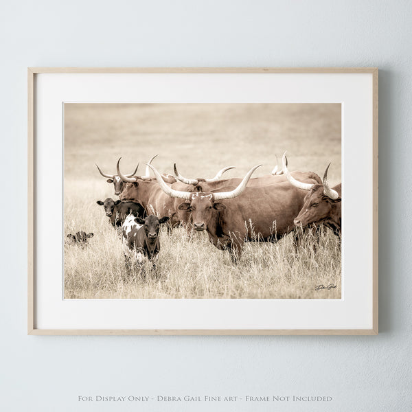 WATUSI LONGHORN COW PRINT OR CANVAS - FARMHOUSE DECOR