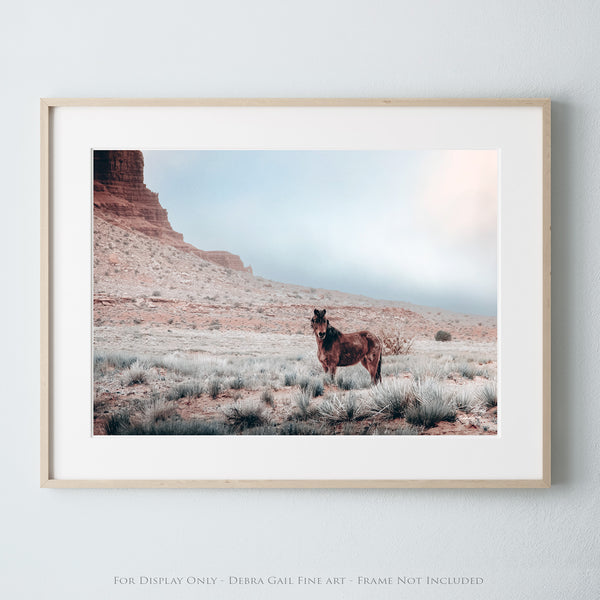 SOUTHWEST WILD HORSE ART PRINT