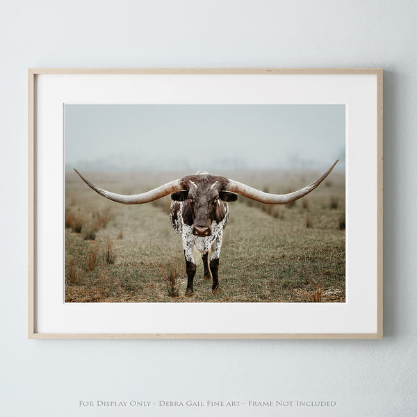 STUNNING LARGE LONGHORN ART - FARMHOUSE DECOR