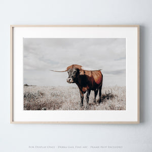 Longhorn cow wall decor canvas – rustic Western fine art print by Debra Gail Fine Art