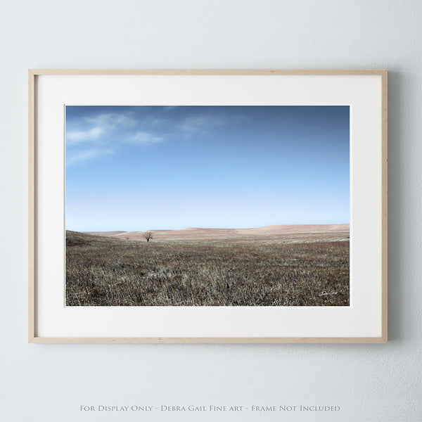 TREE ON THE TALLGRASS PRAIRIE ART PRINT OR CANVAS