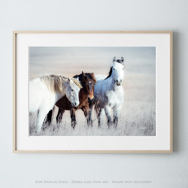 WILD HORSES PRINT - FLINT HILLS WALL ART