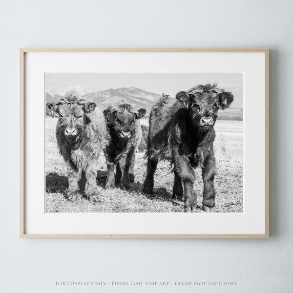 NURSERY WALL ART - CUTE SCOTTISH HIGHLAND COW PRINT