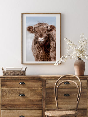 Highland cow wall art – farmhouse decor fine art photography by Debra Gail Fine Art