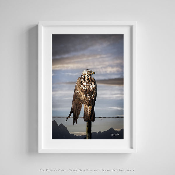 HAWK ON THE WIRE - WESTERN GOTHIC FINE ART PRINT