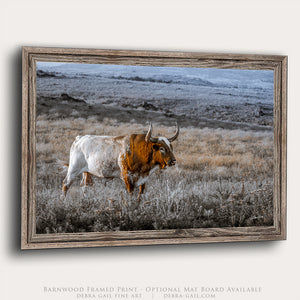 A bull with horns standing in a field of tall grass.