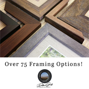 Buffalo wall art – Great Plains wildlife wall decor by Debra Gail Fine Art