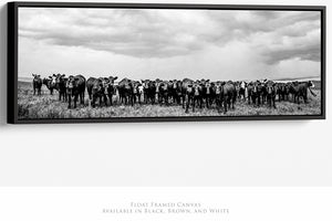 A herd of cows standing in a field, captured in a black and white photograph.
