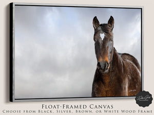 Horse wall art canvas print – rustic Western decor Debra Gail Fine Art