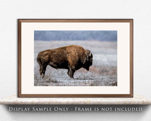 American Bison Wall Art – Yellowstone Landscape Print – Rustic Western Decor