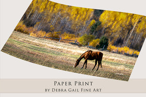 Horse wall art – panoramic rustic Western fine art print by Debra Gail Fine Art