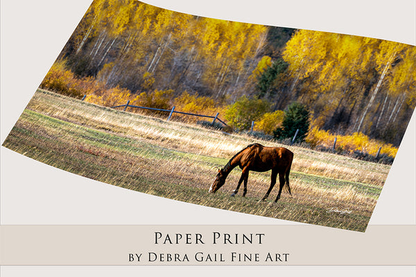 HORSE PANO WALL ART PRINT OR CANVAS - RUSTIC ARTWORK