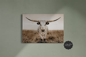 Texas Longhorn Wall Art - Rustic Farmhouse Decor | Large Cattle Canvas Print