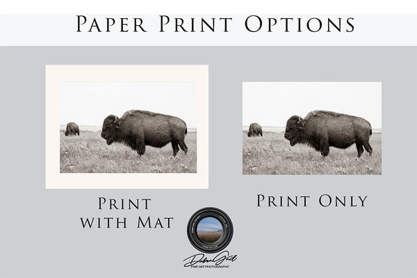 BUFFALO ART PRINT - NEUTRAL TONES