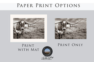 Longhorn Wall Art - Large Texas Longhorn Print | Rustic Farmhouse Decor Canvas