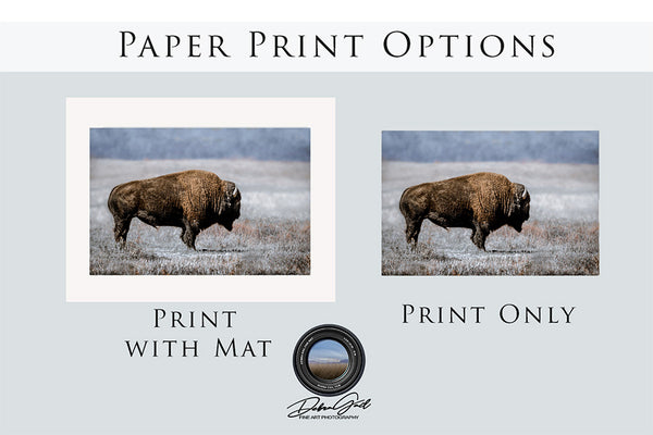 BISON WALL ART - BLUE EARTH TONES