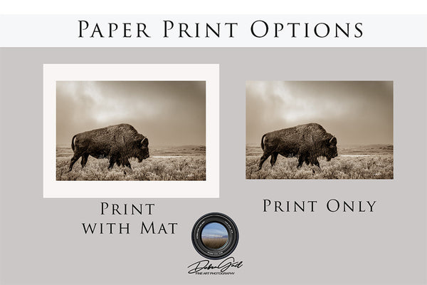 Bison Wall Art in Sepia - Western Gothic Decor No. 4148