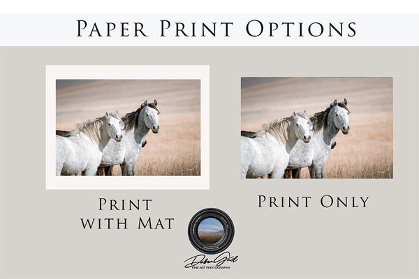 MUSTANG HORSE PRINT - PERFECT FOR HORSE LOVERS