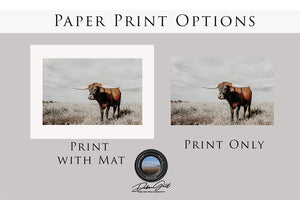 Longhorn cow wall decor canvas – rustic Western fine art print by Debra Gail Fine Art