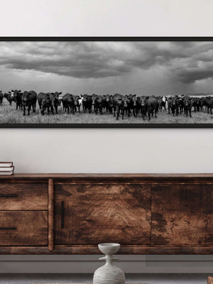 Angus cow wall art canvas print  – Western ranch fine art photography by Debra Gail Fine Art