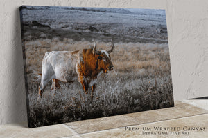 A bull with horns standing in a field of tall grass.