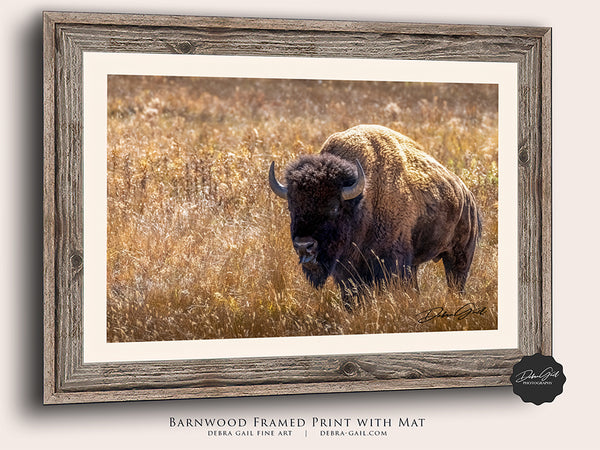 GOLDEN BISON BULL - WESTERN DECOR