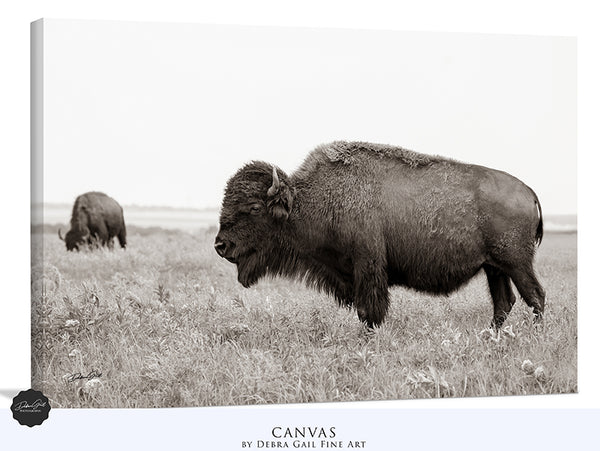 BUFFALO ART PRINT - NEUTRAL TONES