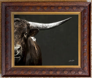 Texas Longhorn wall art – Western ranch photography print by Debra Gail Fine Art