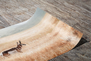 pronghorn antelope wall art canvas – wildlife Western fine art print by Debra Gail Fine Art