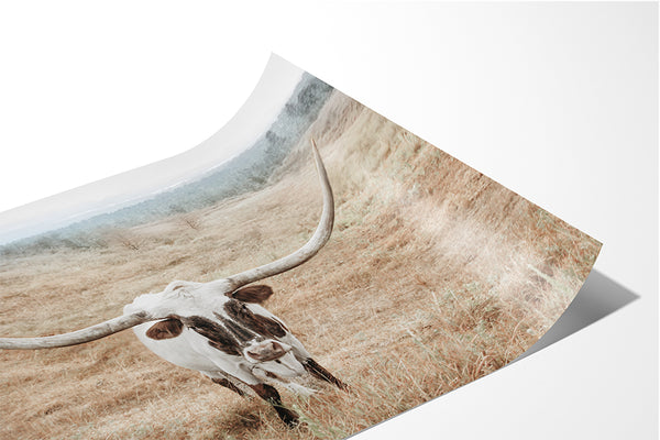 Longhorn Cow Print or Canvas - Neutral Farmhouse Artwork