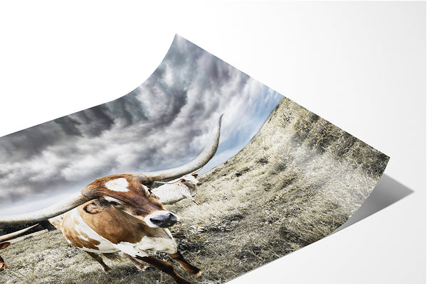 Modern Farmhouse Longhorn Art - Western Decor