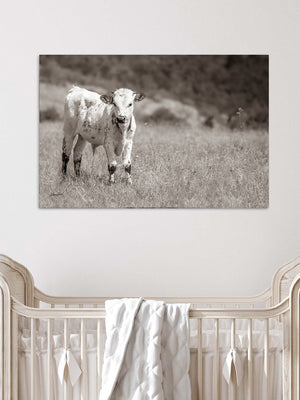 A black and white photograph of a cow standing in a field, with a crib in the foreground.