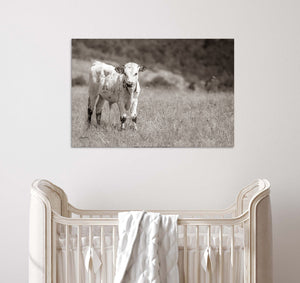 A black and white photograph of a cow standing in a field, with a crib in the foreground.