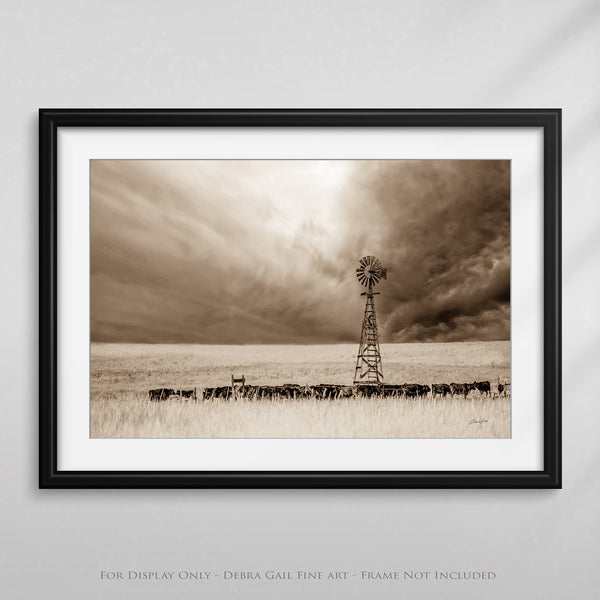 a black and white photo of a windmill and a herd of cattle