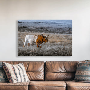 A bull with a white coat and brown spots is standing in a field of dry grass, facing away from the camera.