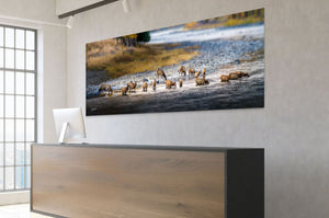 Wild Elk Wall Art – Rustic Western Canvas Print | Large Panoramic Elk Herd Decor